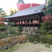 Kokura Garden