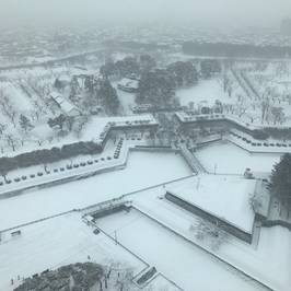 Goryokaku Tower