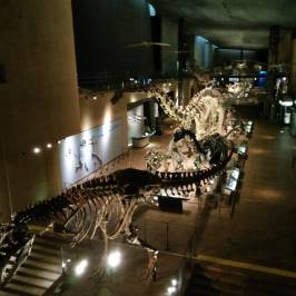 Kitakyushu Museum of Natural History & Human History