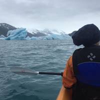Bear Glacier