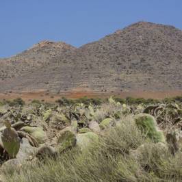 Cabo de Gata - Nijar Natural Park