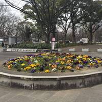 Shirakawa Park