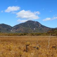 Taro Mountain