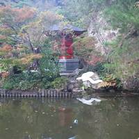 Oya temple