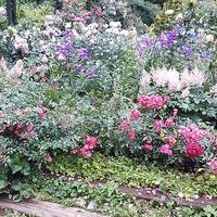 Akao Herb and Rose Garden