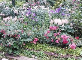 Akao Herb and Rose Garden
