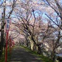 Miyagawa Zutsumi