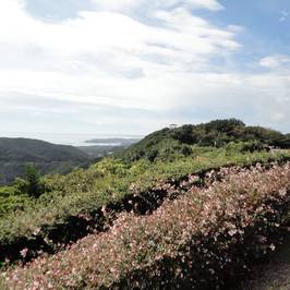 Toba Observatory