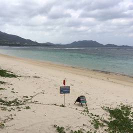 Yonehara Beach