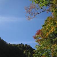 Mitaki Canyon