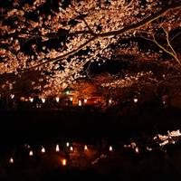 Shikano Castle Site Park