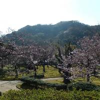 Minatoyama Park