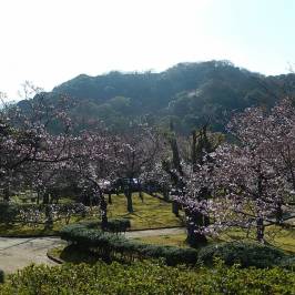 Minatoyama Park