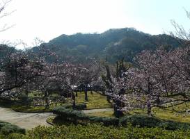 Minatoyama Park