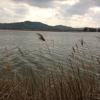 Yonago Waterbirds Sanctuary
