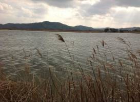 Yonago Waterbirds Sanctuary