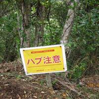 Kunigami Village Forest Park