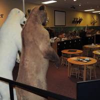 Museum of York County