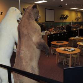 Museum of York County