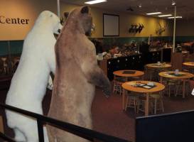 Museum of York County
