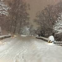 Nakajima Park