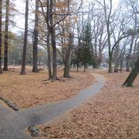 Maruyama Park