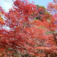Zuihoji Park