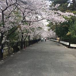 Shukugawa Park