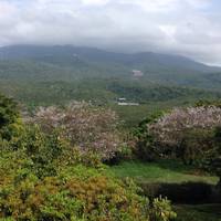Sakurajima Nature Dinosaur Park