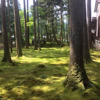 Koke no Sato