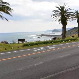 Nichinan Coast
