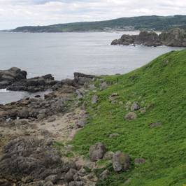 Tanesashi Beach