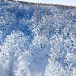 Hakkoda Ropeway