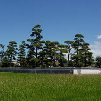 Kobika Family Residence