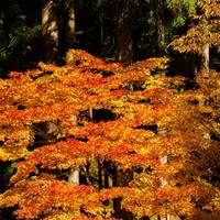 Utsueshijuhachitaki Falls Prefectural Nature Park