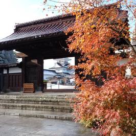 Toyama Castle