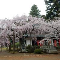 Rokujizo temple