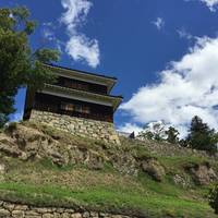 Uedajo Castle