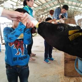 Narita Yume Farm