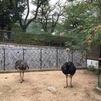 Kobe City Oji Zoo