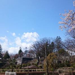Morioka Castle Ruins