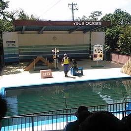 Dolphin Island