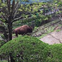 Miyazaki City Phoenix Zoo
