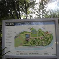 Miyakoh Botanic Garden Aoshima