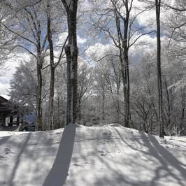 Hakuba Iwatake Ski Resort/Lily Farm & Mountain View