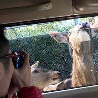 Nasu Safari Park