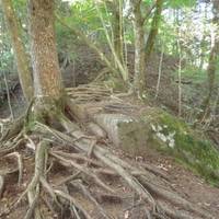 Ojiragawa Gorge Path