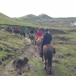 Eld Hestar Horseback Tours