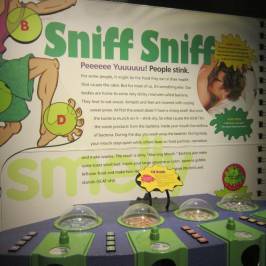 Connecticut Science Center