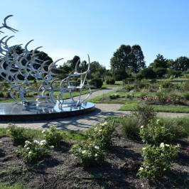 The Arboretum